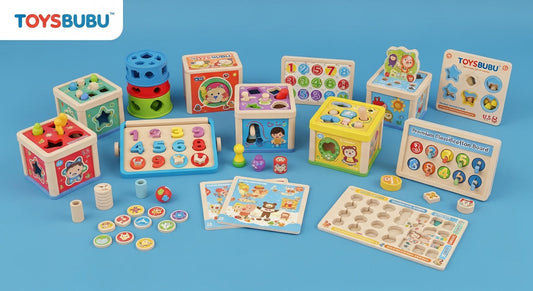 Early Learning Sorting Toys | Educational Toys | ToysBubu