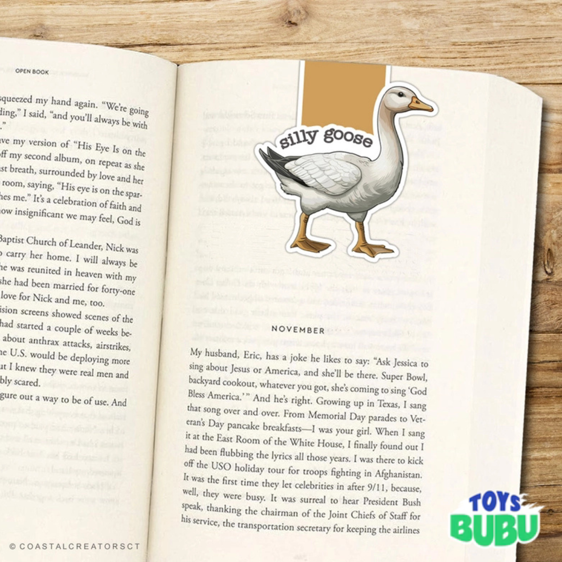 Silly Goose Magnetic Bookmark – Reversible Cute Bookmark for Book Lovers